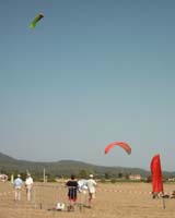 firebird6